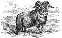 AET50017.JPG