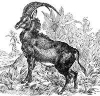 AET50016.JPG