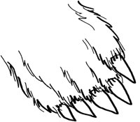 AEO50004.TIF