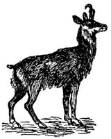 AEN50043.JPG