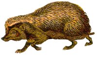AEI50011.JPG