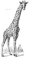 AEH50037.JPG