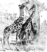 AEH50036.JPG