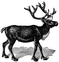 AEE50352.JPG