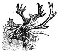 AEE50350.JPG