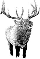 AEE50319.JPG
