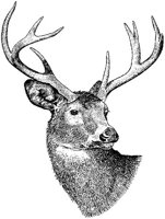 AEE50318.JPG