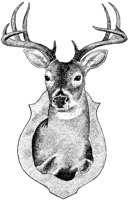 AEE50317.JPG
