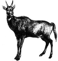 AEE50313.JPG