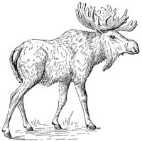 AEE50308.JPG