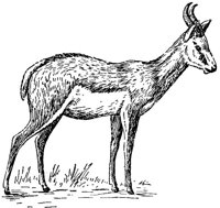 AEE50307.JPG
