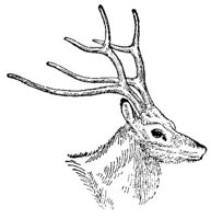 AEE50306.JPG