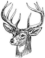 AEE50305.JPG