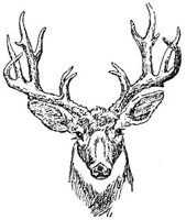 AEE50304.JPG
