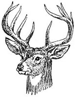 AEE50303.JPG