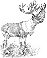 AEE50302.JPG