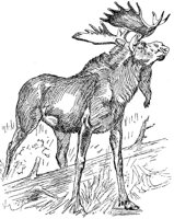 AEE50301.JPG