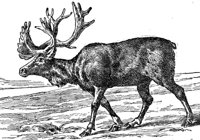 AEE50299.JPG