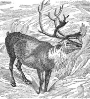 AEE50298.JPG