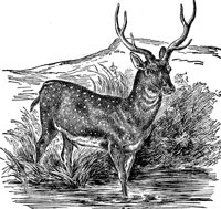 AEE50297.JPG