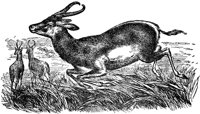 AEE50295.JPG