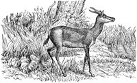 AEE50294.JPG