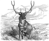AEE50293.JPG