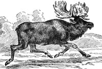 AEE50292.JPG