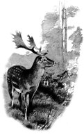 AEE50278.JPG