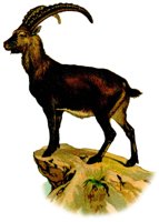 AEE50275.JPG