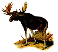 AEE50274.JPG