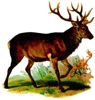 AEE50272.JPG