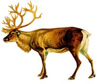 AEE50271.JPG