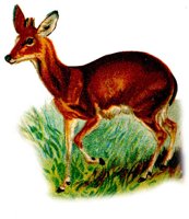 AEE50270.JPG
