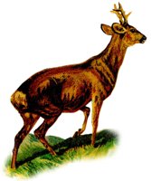 AEE50268.JPG