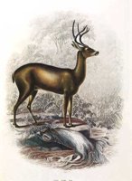AEE50250.JPG