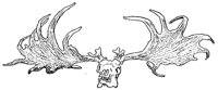 AEE50229.JPG