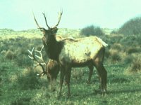 AEE50056.JPG