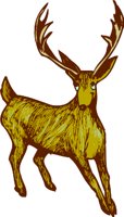 AEE00001.WMF