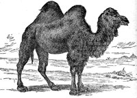 AEA50045.JPG