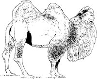 AEA50002.TIF