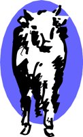 ADY00004.WMF