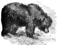 ADW50190.JPG