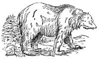 ADW50188.JPG