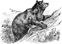 ADW50184.JPG
