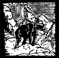 ADW00119.WMF