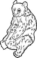 ADW00008.WMF