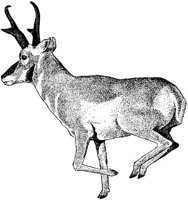 ADS50046.JPG