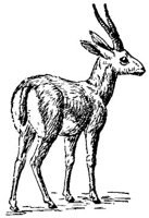 ADS50040.JPG