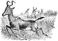 ADS50037.JPG